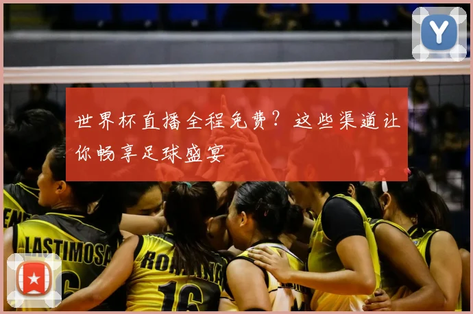 世界杯直播全程免费？这些渠道让你畅享足球盛宴